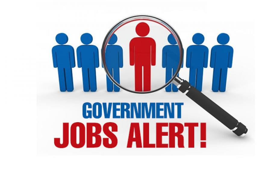 Top Government Jobs With High Salary and Job Security